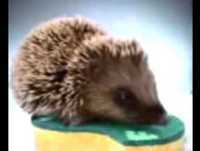 Os melhores anúncios de televisão