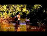 A solução para Portugal, segundo o Balas e Bolinhos 2