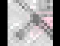 Bruno Nogueira volta a comentar o Big Brother dos coisos