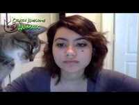 Funny Cats Computers Fails WINS!