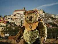 Os Conselhos Que Vos Deixo - 5