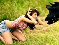 top 50 cacetadas voce vai morrer de rir video novinho quentinho so pra voce