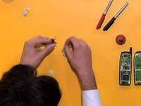 Traquitana | Joaninha Eletrônica