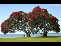 Your love never fails (Cover Piano) Jesus Culture