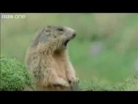 Helen Helen Helen Helen? Steve, Steve??