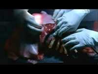 Mejor documental de Animal planet 2012