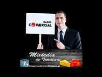 Mixordia de tematicas - Um português com emprego