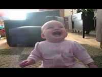 Nunca um cachorro comendo pipoca foi tão engraçado!