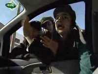 Gato Fedorento - Segue, Segue, Segue..