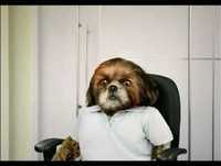 Bruno Aleixo No Hospital 02 "Os Exames"