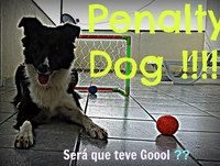 Futebol com Border Collie Bysteca olha o gol !!
