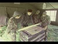 Gato Fedorento - Guerra do Amor