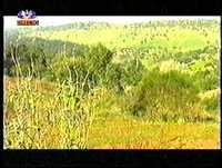 HERMAN SIC 2000 PARTE 01/10