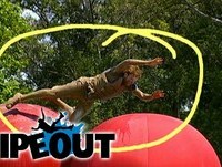 Left handed Red head finishes the course