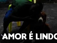 Mil Grau, o melhor amigo! - Vídeos Engraçados™