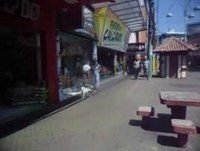 A CACHORINHA QUE JOGA FUTEBOL