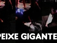 O peixe pegando o pescador - Vídeos Engraçados™