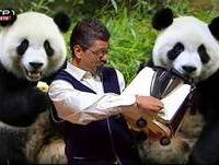 Pimenta na Língua - Lourenço Medeiros - Luís Filipe Borges - 5 Para a Meia Noite