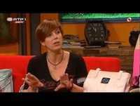 5 para a meia noite talk show A New Beginning #ANB13 Pelcor & Pink dream to Portugal interview