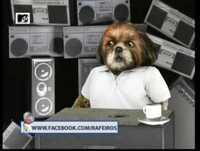 Bruno Aleixo no MTV Brand New