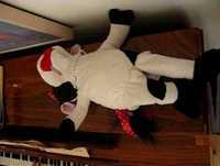 Cornelia, en todo su esplendor...