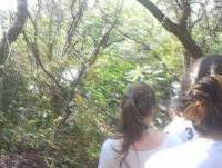 Erros e cenas Cortadas [Vídeo Bônus]