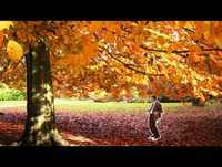 Harlem Shake Mr.Bean - Anima��o - Brasil