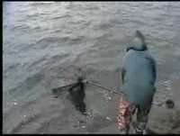 Zasiadka na Rybniku vol.2