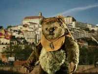 À memória de Bruno Aleixo