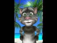 Bom Dia !! Videos Engraçados para rir