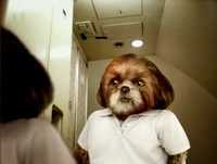 Aleixo no Brasil - Episódio 01