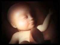 Bebê muito engraçado