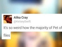 Dumb Social Media Fails