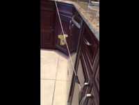 Zip line ( paper man)