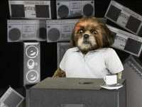 BrandNew - Bruno Aleixo.mov