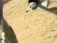 camp: zip line 2 it's gonna be on the youtubes!