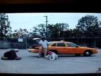 Jackass Terrorist Prank