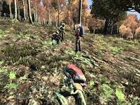 Momentos engraçados no Dayz ahahahahahahah