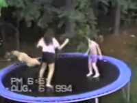 Animais Engraçados.