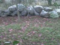 Mostre sua Evolução - Cenas Cortadas