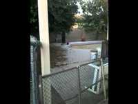 Mr Bean runs inside!