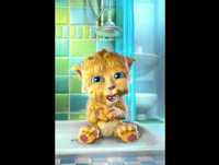 Nega do suvaco fedorento