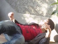 Bêbados - Cromos de cães de cima