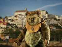 os conselhos que vos deixo Bruno Aleixo - série completa