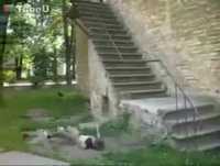 Parkour Fails