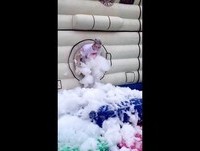 TOTAL WIPEOUT Santander special