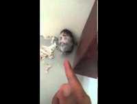 Videos engraçados de Animais