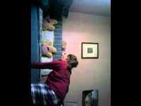 Desafio champions endokai cromos