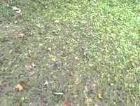 JACKASS JUNINO - RECANTO ROSAL - "O DIA DEPOIS DE AMANHÃ"