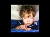 Só para Rir - "Os quase porcos"